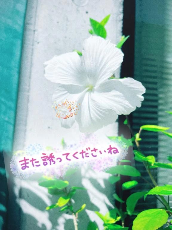 雨でもHappy☔️