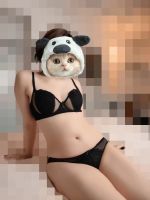 ���`���`�{�f�B