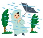 本場台風にちょ…