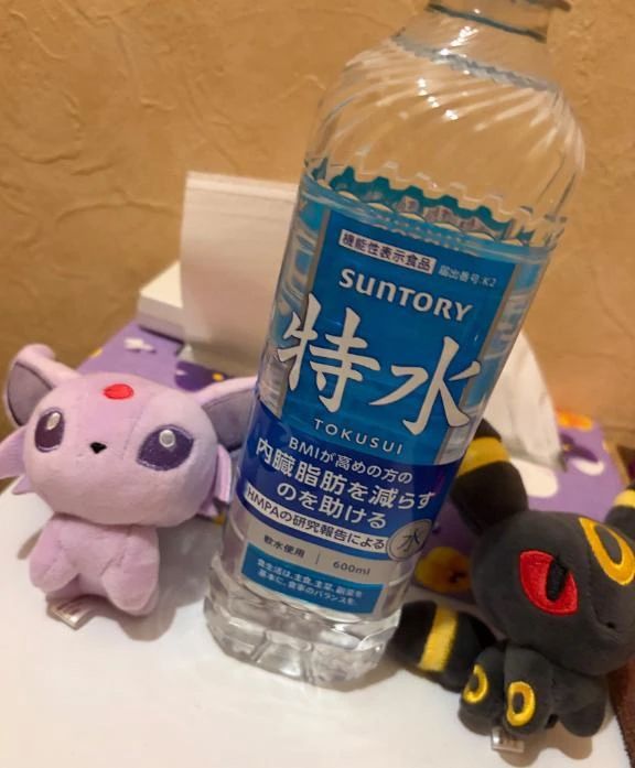 チートのお供