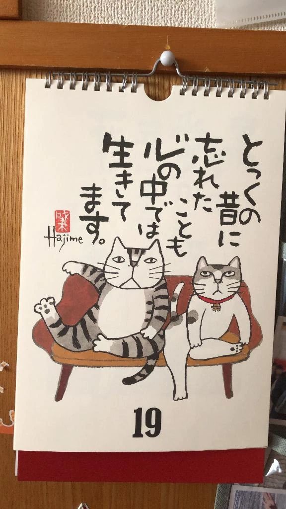 急遽:;(∩´﹏`∩);: