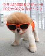 本日の出勤キャ…