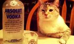 飲みたい気分で…