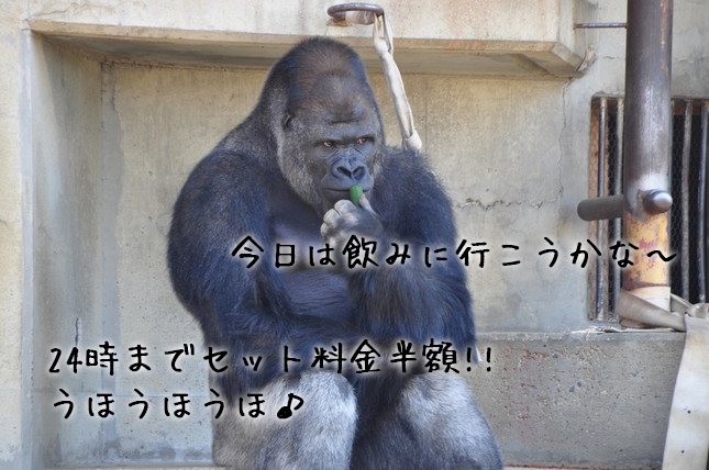 本日の出勤キャスト18名