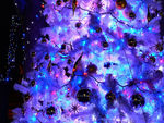 クリスマスイベ…