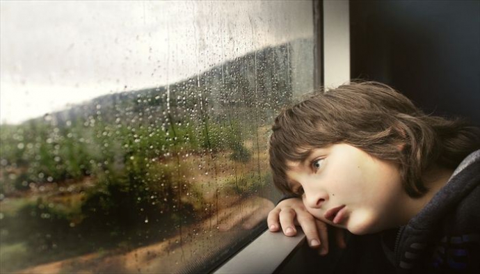 今日は雨ですな...。