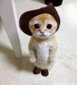 本日の出勤キャ…