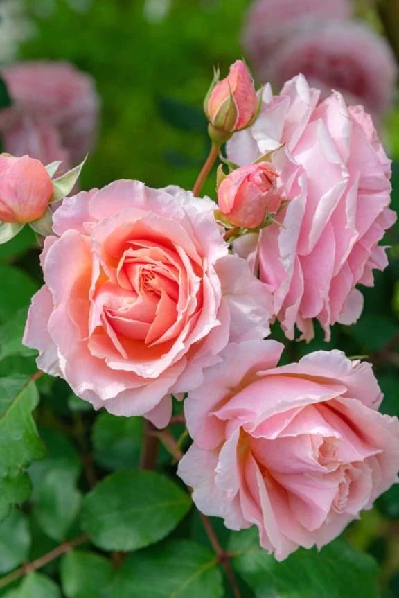 本日出勤です♡