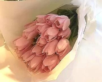 こんにちは( ´▽｀)