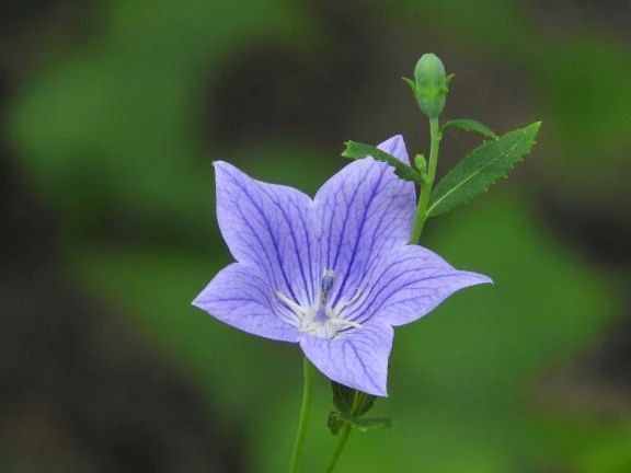 ありがとうございます♡