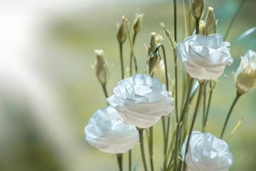 有難うございます(^▽^