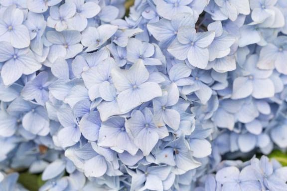 おはようのハグ♡♡