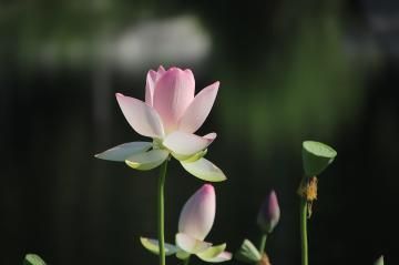 有難うございます(´∀｀)