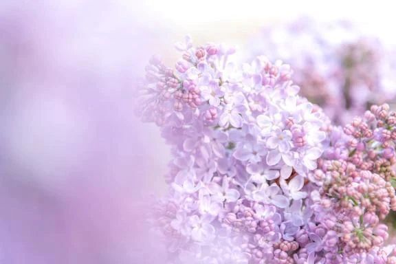 お疲れ様でした