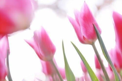 有難うございます(´∀`*)