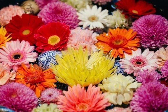 本日出勤します♡