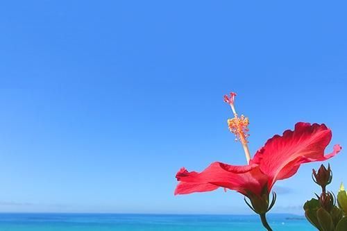 有難うございます(´∀`*)