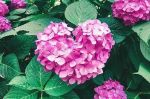 本日お休みです♡