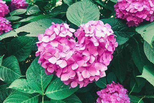 本日お休みです♡