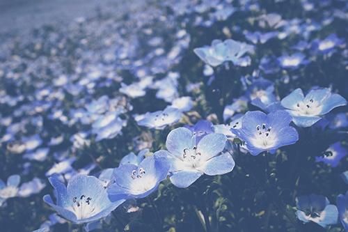 こんにちは(　´∀｀)
