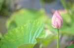 有難うございま…