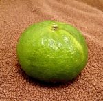 はづき