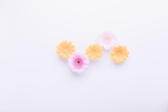 有難うございます(´∇`)