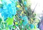 こんにちは(＾▽…