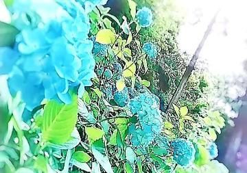こんにちは(＾▽＾)