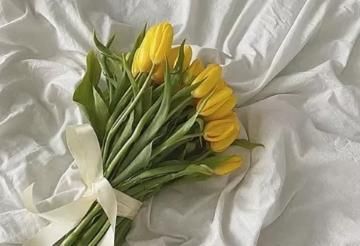 有難うございます(´∀`)