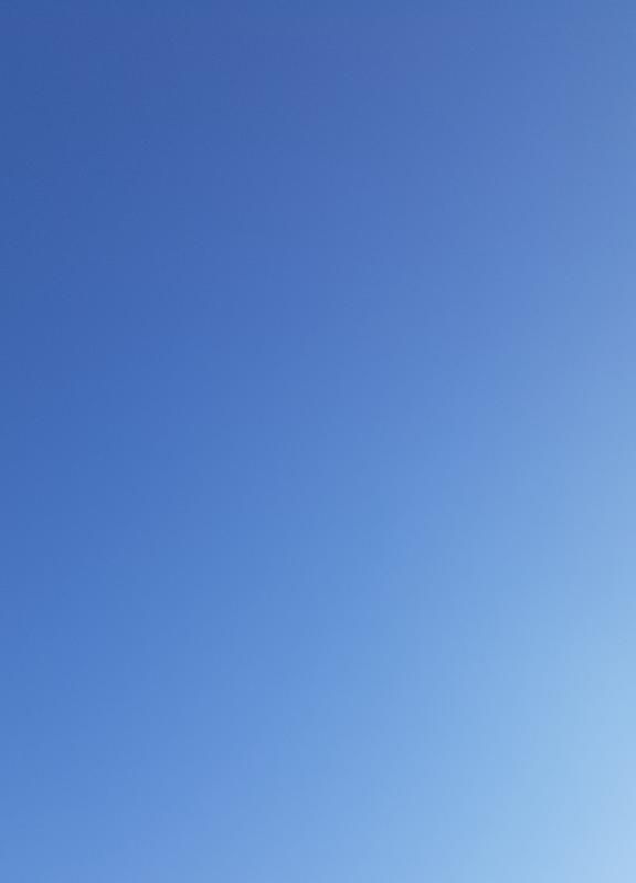 こんにちは(　´∀｀)
