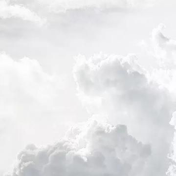 こんにちは(*´▽`*)