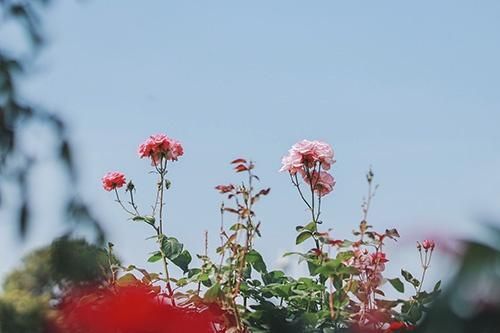 こんにちは(＾▽＾