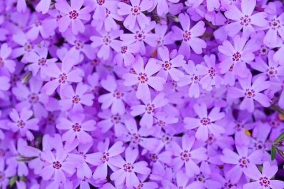 本日出勤します♡