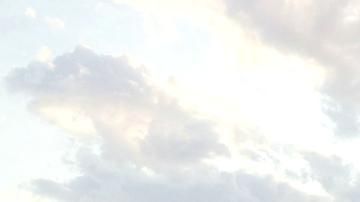 有難うございます(=´∀`)