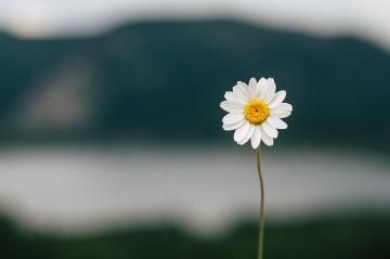 有難うございます(^▽^