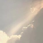 有難うございま…