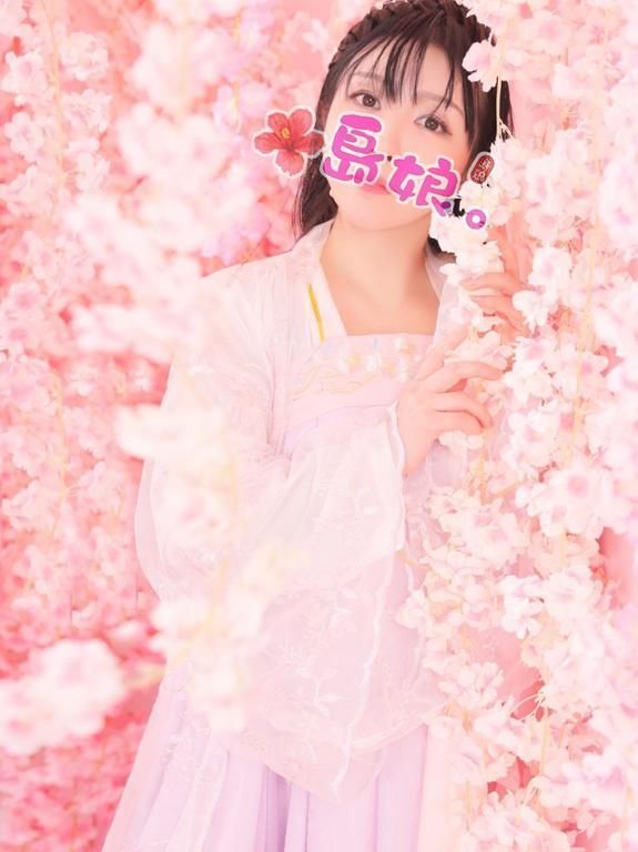 可哀想な猫はいなかった。