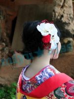 月から帰ってき…