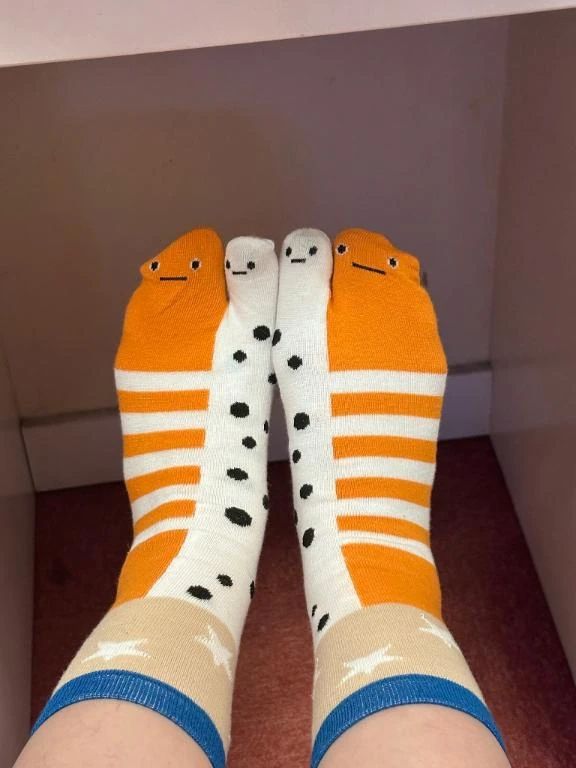 チンアナゴ(ブチ模様)とニシキアナゴ(シマシマ模様)