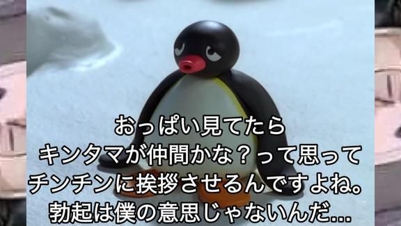 あたいは騙されないぞ
