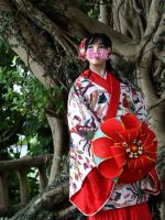 持ち合わせがな…