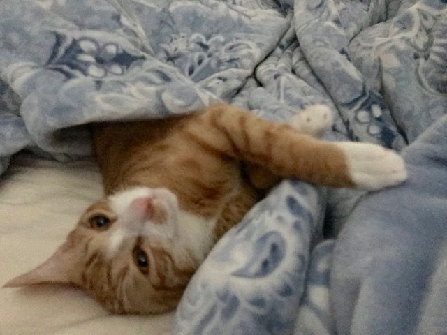 シンプルに生きる♡