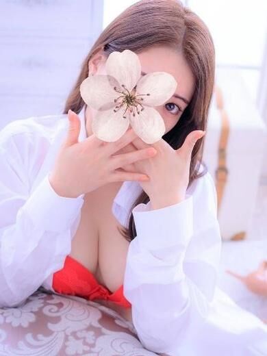 こまちの写真1