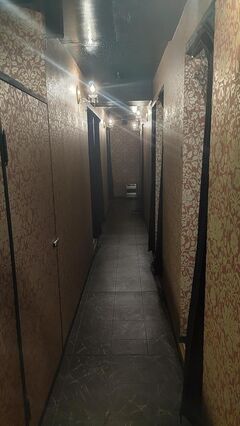 ダリア