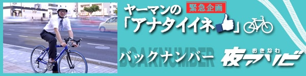 夜アソビ緊急企画!!ヤーマンのアナタイイネ